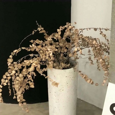 兽设毛发质感表现福瑞交流群